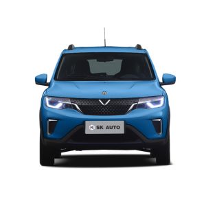 DONGFENG VENUCIA E30 Automobile EV 301km Long Range Electric SUV