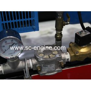 Cummins Engine 175KW Natural Gas Engine