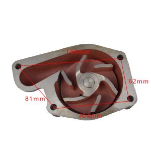 Engine Xinchang XC495 498BPG Water Pump Assy Cast Iron