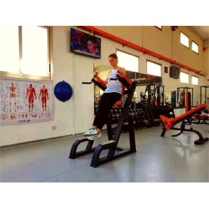 Commercial Multi-Functional Vertical Kness UP/DIP Plate Loaded Machine