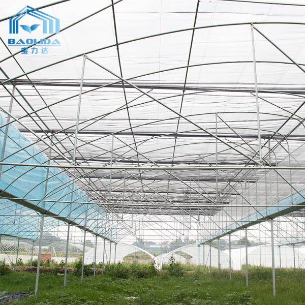 6m-12m Multi-Span PE Film Greenhouse Kit with Hot Dip Galvanized Steel Frame and