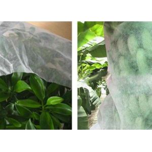 High Tensible , Durable PP Spunbond Nonwoven for Agricultural Textile