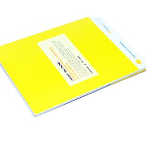 CMYK Offset Printing Video Brochure Cards Customized