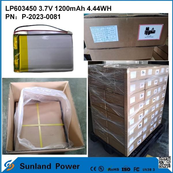 GP603450 1200mAh 3.7V BATTERY