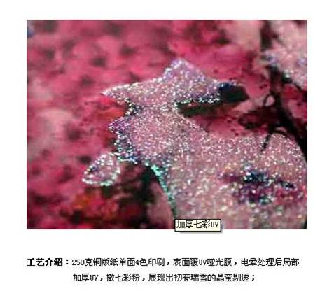 Quality Raised colorful UV on CMYK Printed 250g special paper wholesale