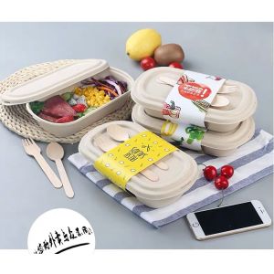 Compostable Takeout Disposable Food Containers Bagasse Lunch Box With Lid