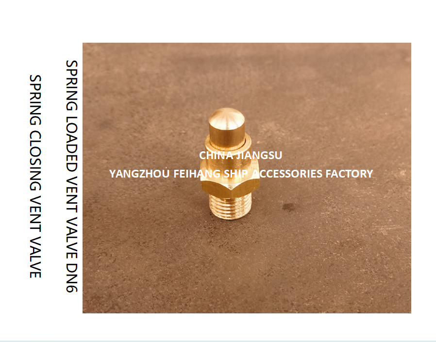 DN6 Spring Loaded Vent Valve with Threaded Ends Compliant with CB/T3778-1999