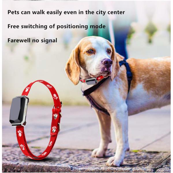 Beidou Positioning Intelligent 45X45mm PET Training Collars Gps Tracking Collar For Dogs