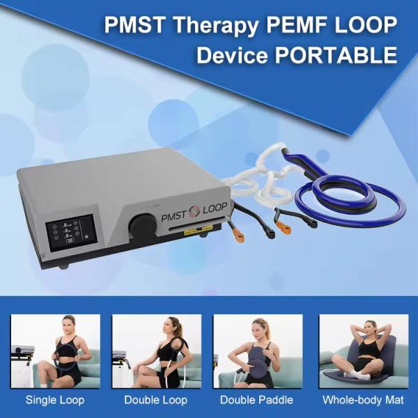 Professional Pemf Therapy Magneto Equines Pmst Loop Portable Magnetotherapy Pemf Therapy Machine For Horses