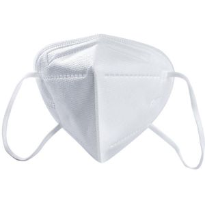 Earloop CE NB 2363 Approved Dust Mask FFP2