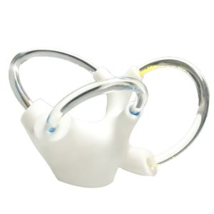 Vertigo Cochlea Inner Ear Cranial Nerve Rehabilitation Anatomical Function