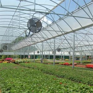 Irrigation System Side Vent Multi Span Greenhouse With Automatic Watering System