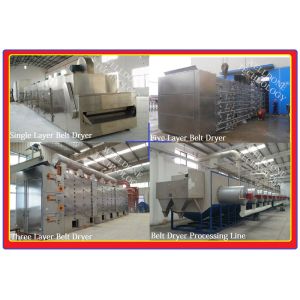 DWF Series Conveyor Belt Dryer large capacity high efficiency