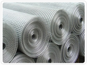 Anticorrosive 3/4 Inch Welded Wire Mesh 0.5-1.8m width Machined Hot Dip