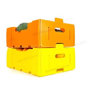 Yellow Plastic Reusable Boxes Heavy Duty Foldable Corrugated Plastic Box