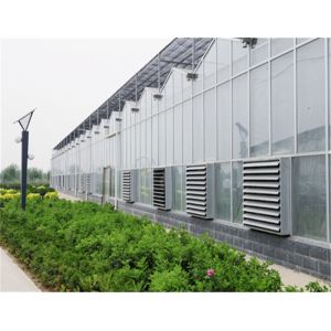 Pc Sheet / Polycarbonate Sheet Greenhouse For Modern Organic Agriculture