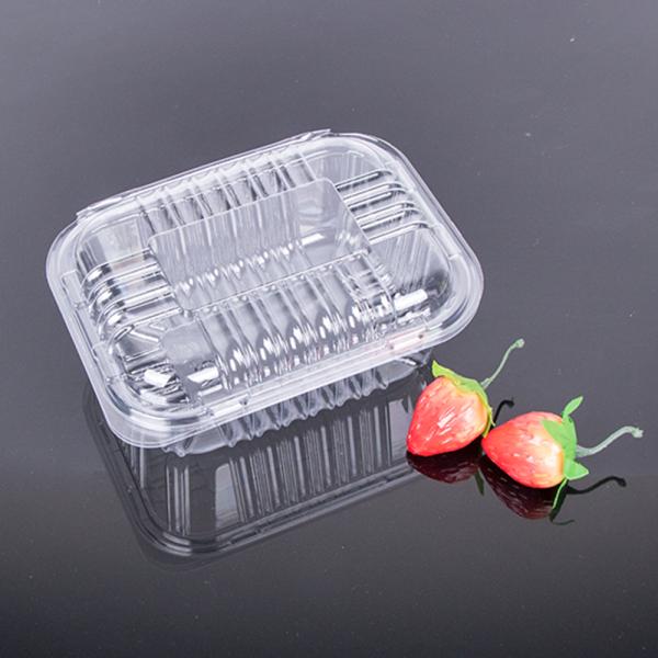 Clamshell Disposable Fruit Box