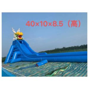 Inflatable Paddle Boat and Swimming Pool Kids Entertainment Jumping Castle CE