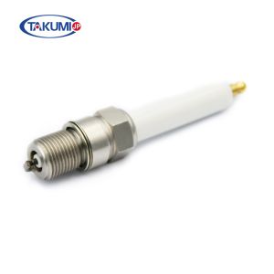 R5GL12-77 Pre-Chamber Spark Plug for MWM L1863B L1863DP L1863IP with Double