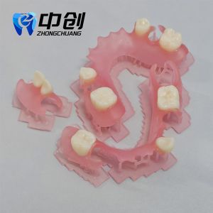 Flexible Denture High Durability Invisible Denture Base Resin for Natural