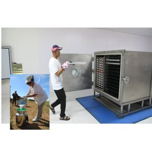 Cheap Air Cooled Food Freeze Dryer With Leybold Refrigeration System for sale