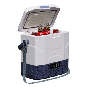 12L Portable Camping Compressor Car Fridge -20 10 C Refrigerator for Home and