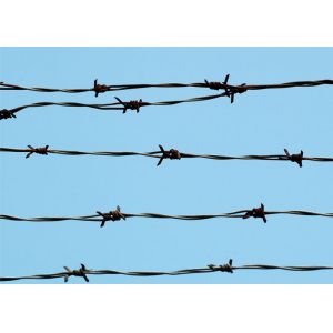 China Galvanised Garden Security Barbed Wire 25M Length 1.7mm Wire Diameter on sale