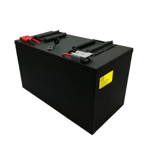 MSDS LiFePO4 80Ah 48Volt Scooter Lithium Battery