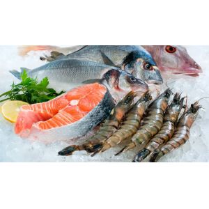 FOCUSON 10t Flake Ice Machine Top-Selling Product with 42kw and Refrigerant