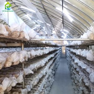 Single-span film blackout Light Deprivation greenhouse for growing mushrooms
