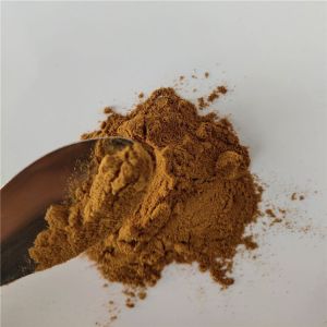 China Extract Herbal Wild Mango Seed Extract Powder on sale