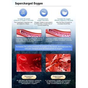 Comfortable Design 2.0ATA Hard Type All-In-One Economical Therapeutic Hyperbaric