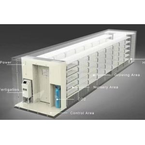 Department Shipping Container Greenhouse LED Lighting Solution for Vegetable