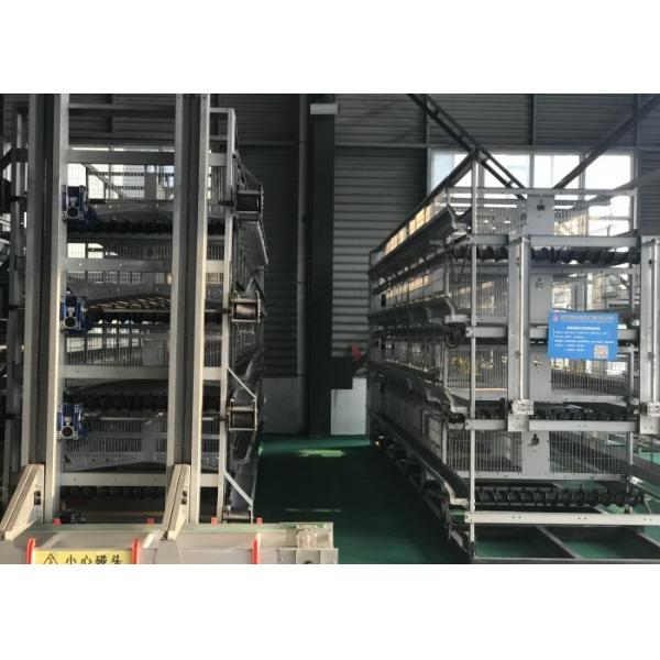 Quality Poultry House Automatic Poultry Feeder System for chicken house wholesale