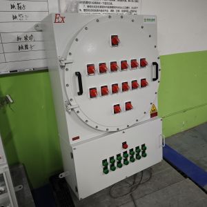 Energy- ATEX Explosion-proof Control Station Flameproof Electrical Control Boxes