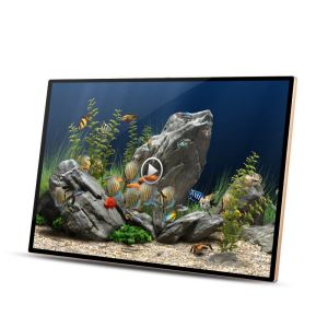 All In One Capacitive 55 Inch Touch Screen Kiosk 21.5 32 43 65 Inch Interactive