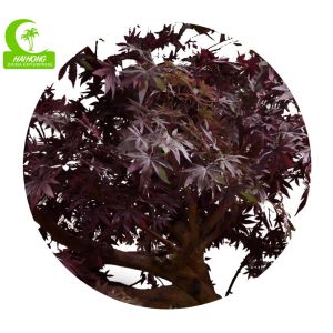 350cm Artificial Landscape Trees , Fake Maple Tree All Season