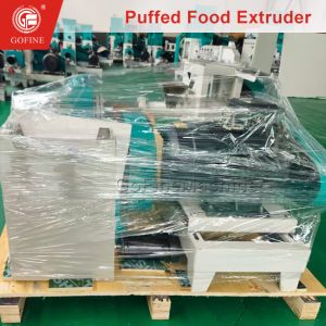 Advanced Snack Food Extrusion Equipment With Double Screw Technology