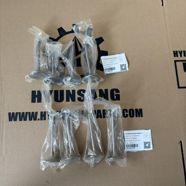 Quality Hyunsang Excavator Parts INLET VALVE 12159606 EX VALVE 12159608 For Weichai Deutz 22B/WP6 wholesale