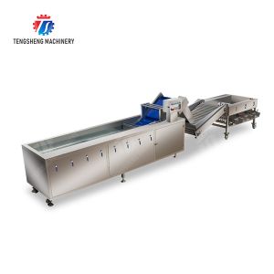 Fruit bubble washing and sorting production line Fruit Vegetable FOOD processing