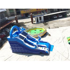 Blue Small Inflatable Dolphin Slide With PVC Material / Blow Up Climbing Wall