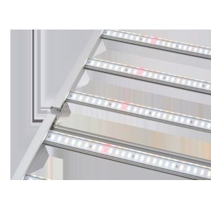 10 Bars 800W 3.1umol/J Horticulture LED Grow Lights