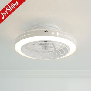 Silent High Speed 20 Inch LED Ceiling Fan with Smart Control and Decorative