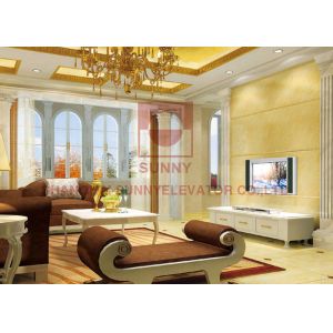 China Steel Belt Type Villa Private Elevator lift With Polyurethane Layer on sale