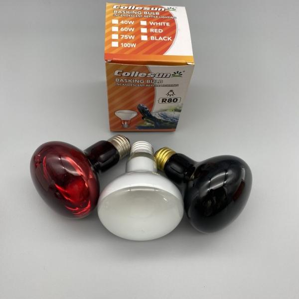 Quality 75W UVA Spot Lamp R63 R80  For Reptile And Amphibian Bearded Dragon Lizard Tortoise Spider Snake Chameleon Reptile Heat Lamp wholesale