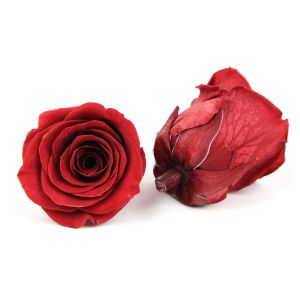 Allergy Friendly 5-6cm Preserved Rose Flower Heads