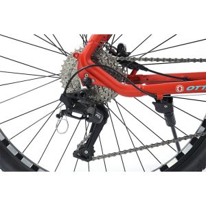 22 Speed Frame Mountain Bike For Men And Women Without Front Derailleur