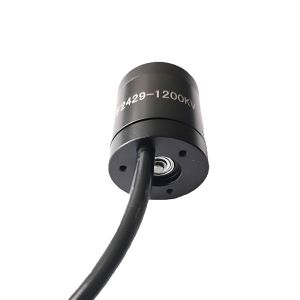 Faradyi New Product Waterproof IP67 12V 24V Dc Brushless Underwater Motor With