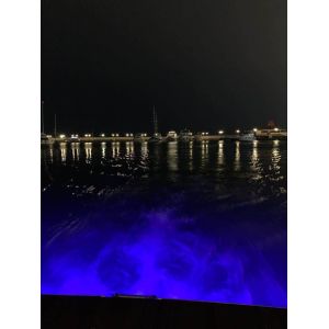 12V IP68 60W RGB 1537Lm Underwater LED Boat Lights