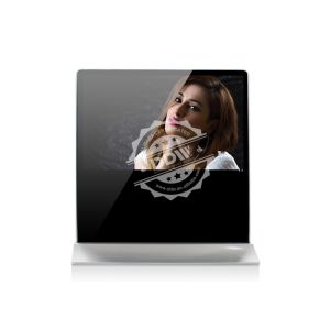 32"-98" Floor stand Landscap digital signage display 1920 x 1080P, 500cd / m2